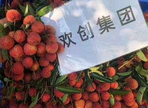 夏日好“枝”味，歡創(chuàng)集團發(fā)福“荔”啦